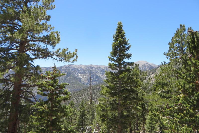 There's so much more to Las Vegas than The Strip! Check out the five best day trips to take from Las Vegas. For more on planning your trip to Las Vegas, visit www.vegansbaby.com/vegansbaby2018