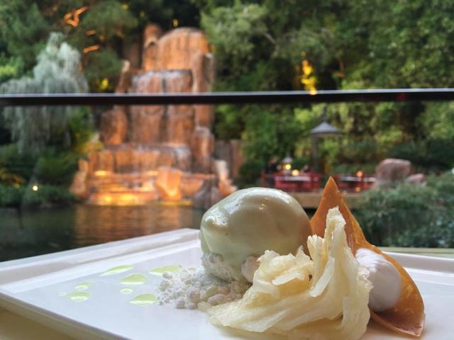 A look at the best vegan dining in Las Vegas and the perfect spot for a romantic vegan date in Las Vegas. For more vegan food in Las Vegas, visit www.vegansbaby.com/vegansbaby2018