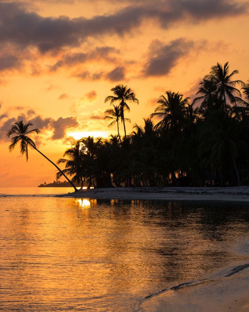 Panama is is one of The 25 best destinations for ecotourism (2024).