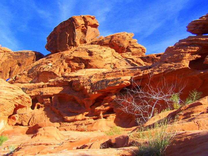 There's so much more to Las Vegas than The Strip! Check out the five best day trips to take from Las Vegas. For more on planning your trip to Las Vegas, visit www.vegansbaby.com/vegansbaby2018