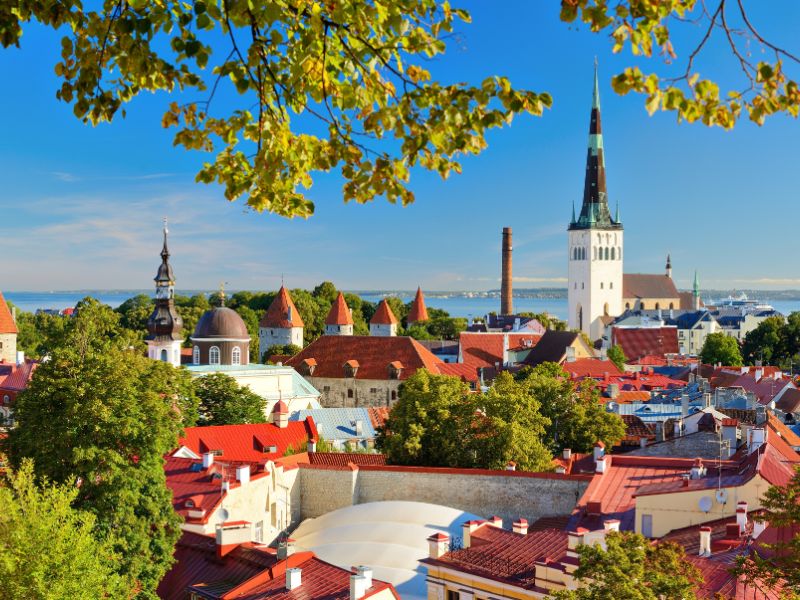 Tallinn, Estonia vegan food tour