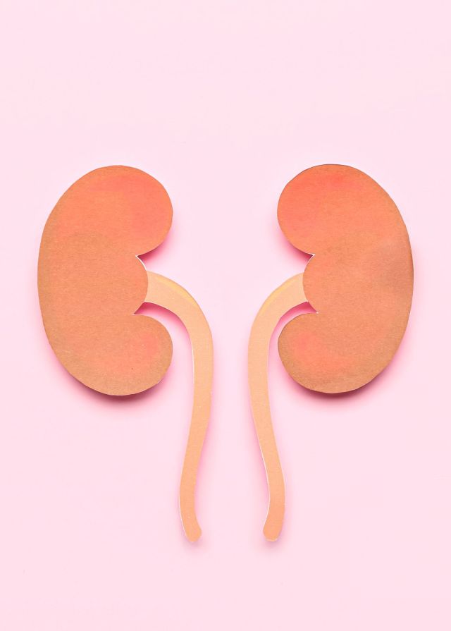 Going vegan can improve kidney function. Vegan bodies before and after show improved kidney function