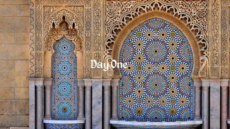 Join Vegans, Baby's diana Edelman on a luxury vegan tour of Morocco June 15 - 24, 2024