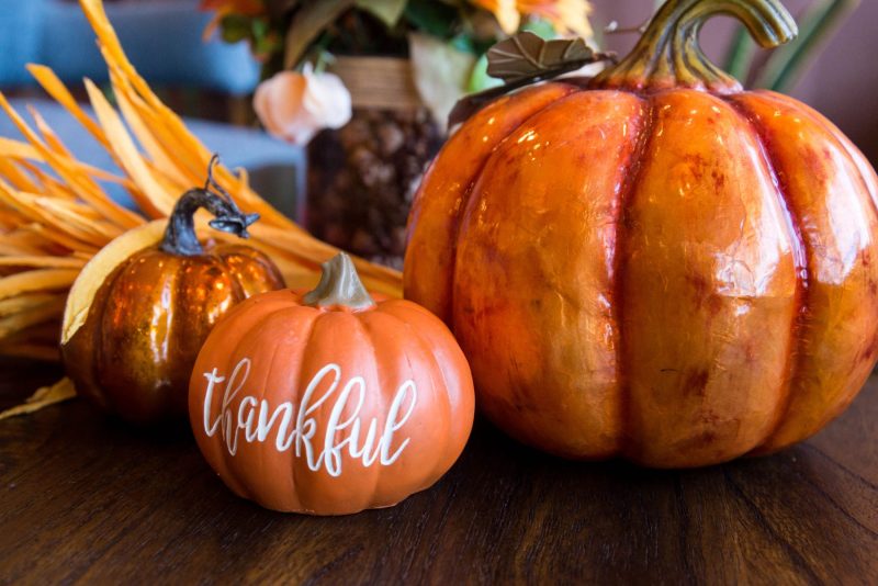 Where to get a vegan Thanksgiving meal in Las Vegas this year. For more vegan food in Las Vegas, visit www.vegansbaby.com/vegansbaby2018