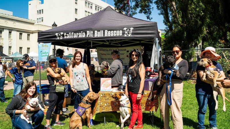 A black pop up tent for the California Pit Bull Rescue at Bizerkeley Food Fest with people standing in front of it.
