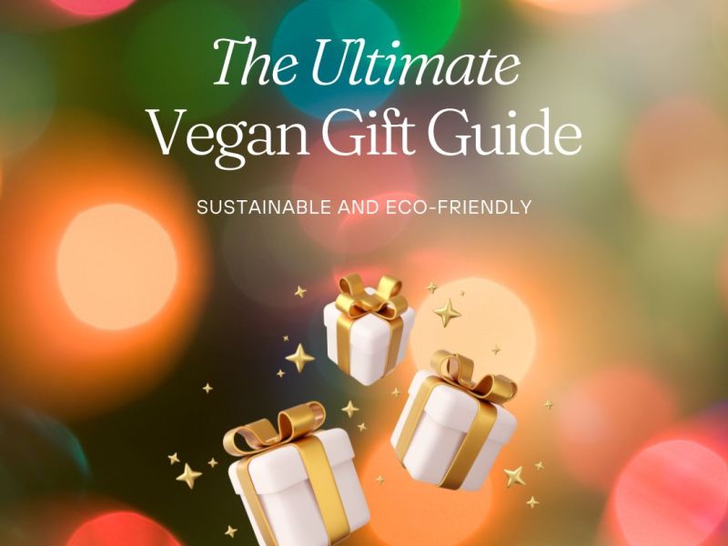 Vegan gift guide for 2024. For more gifts, visit www.vegansbaby.com
