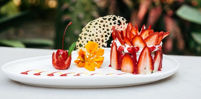 Food at Mother Earth Vegan Hotel restaurant