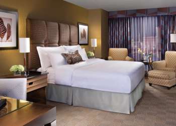 Family-friendly, New York-New York is also budget-friendly. Located on The Strip in Las Vegas, it's got fun for all ages. For more Las Vegas hotels, check out www.vegansbaby.com/vegansbaby2018