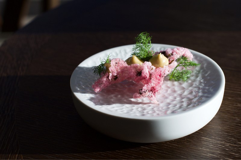 Organic vegan gourmet dish at Paradiso Pure.Living Dolomites
