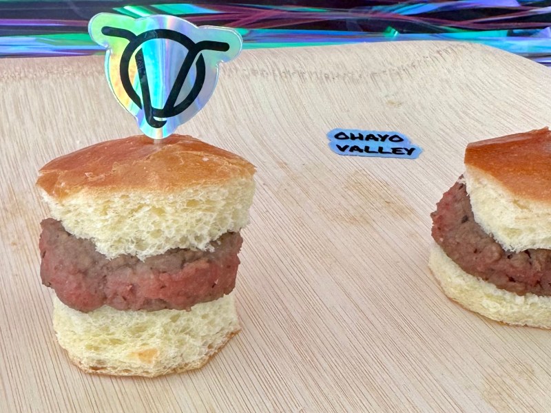 I'm vegan and I tried cultivated meat. Here's what I thought. For more vegan food, visit www.vegansbaby.com