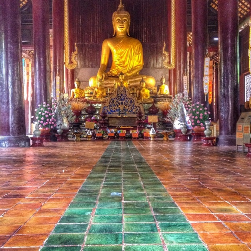 Experience the vegan life in Thailand on this vegan Thailand tour led by Vegans, Baby and Mindful Wanderlust. The tour includes the Phuket Vegetarian Festival, Bangkok and Chiang Mai. For more vegan tours, visit www.vegansbaby.com